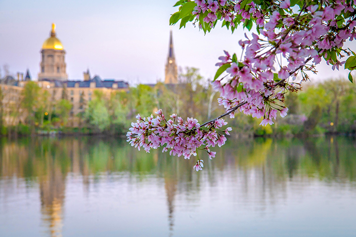 Notre Dame