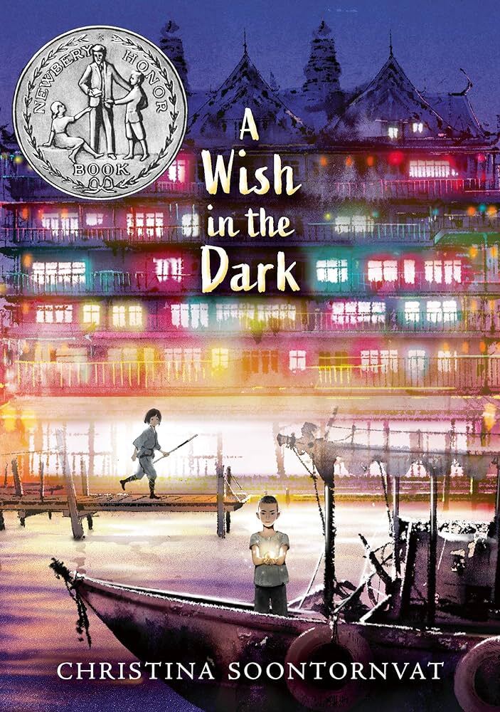 A Wish in the Dark book cover