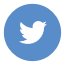 iconfinder_twitter_circle_color_107170 (2)_1