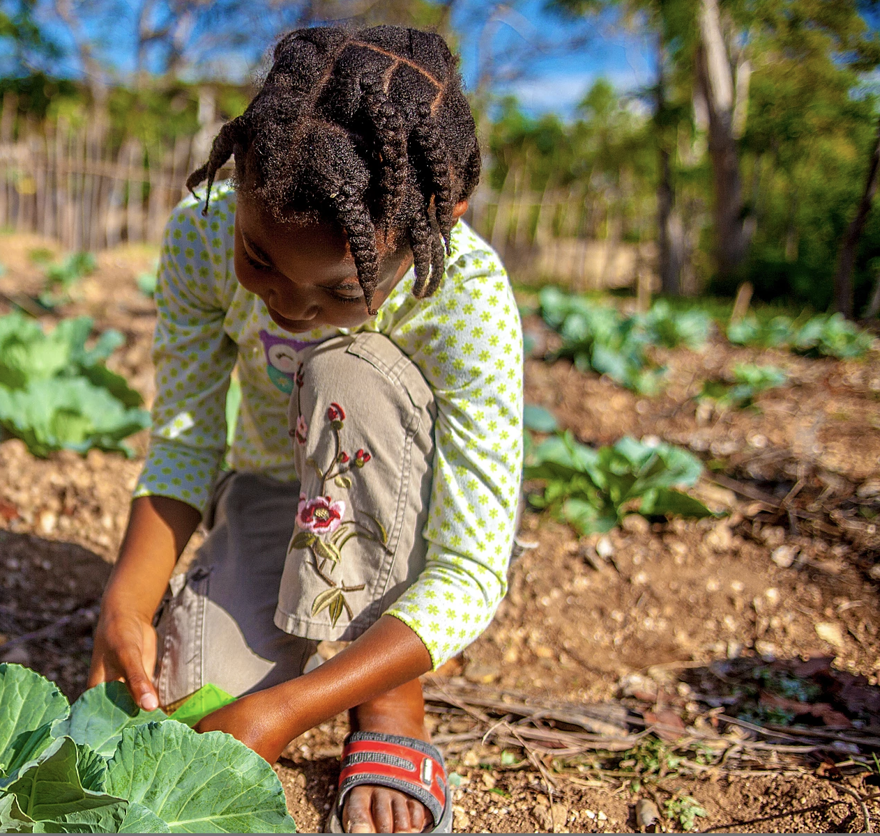 Student working in community garden