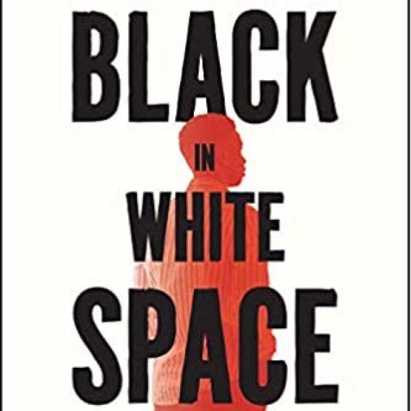 Black in White Space - Elijah Anderson